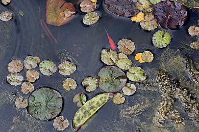 网易2024新游规划：《永劫无间》手游预计暑期上线